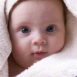 Babyöl Test Babyöl Test